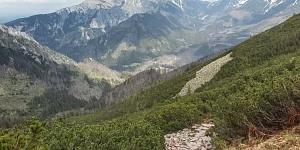 Schronisko w Dolinie Kościeliskiej jako doskonały przystanek dla turystów Schronisko w Dolinie Kościeliskiej jako doskonały przystanek dla turystów