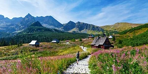 Wynajem apartamentu w Zakopanem z widokiem na góry – co warto wiedzieć Wynajem apartamentu w Zakopanem z widokiem na góry – co warto wiedzieć